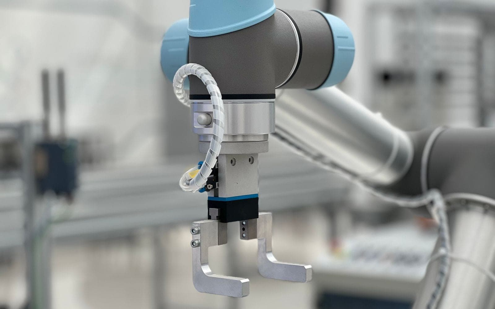 AI Automation Systems — Custom workflows that quietly handle the repetitive work, so your days go to the things only you can do.